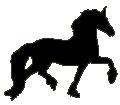 #5623 Friesian 2006