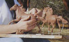 Foto aus dem Breyer Katalog 2004