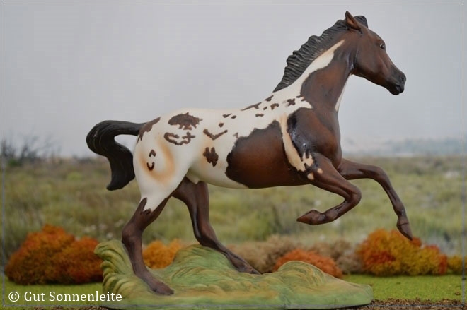 Appaloosa von Franklin Mint