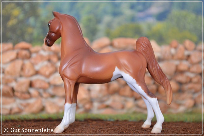 #6029 American Saddlebred | chestnut sabino | 2015 - lfd. OF