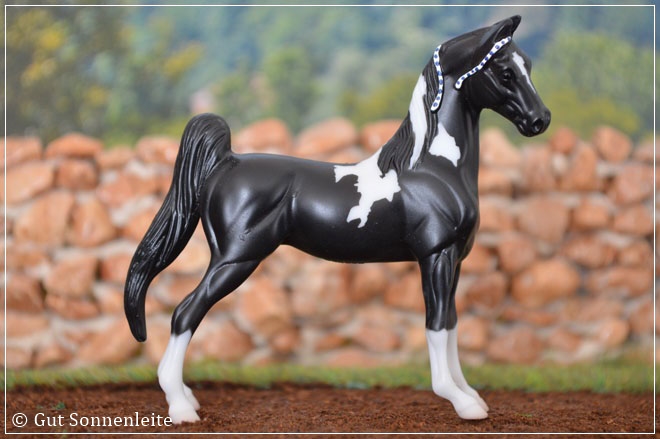 #720225 American Saddlebred (Target) | black pinto | 2009 OF disc.