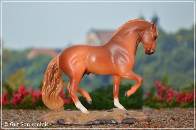 #8138 Portuguese Lusitano | red chestnut | 2004 - 2005 OF disc.