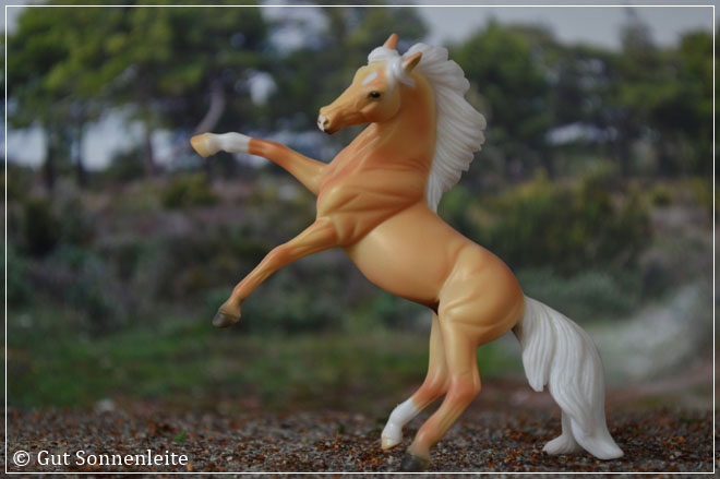 #720219 Lusitano | palomino | 2009 OF disc.