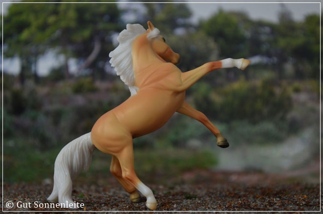 #720219 Lusitano | palomino | 2009 OF disc.