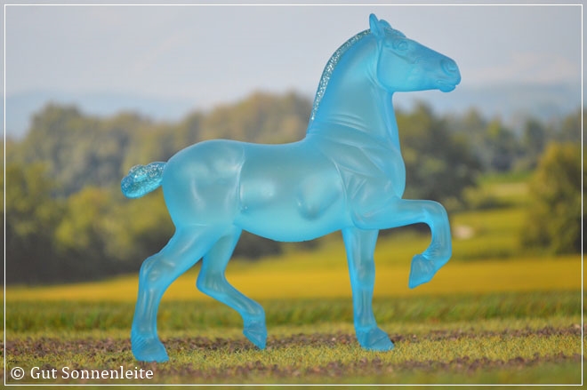 #6012 Horse Crazy | Frosted Blue | 2012 - lfd. OF