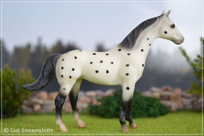 #711096 Twelve Piece Stablemate Set | black leopard appaloosa | 2003 - 2006 OF disc.