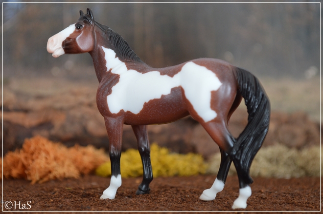 #5941 Mystery Foal Surprise - Family 2 | bay pinto | 2012 - 2013 OF disc.