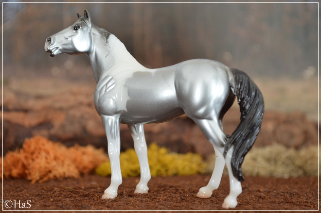 #711178 Glimmer | silver pinto | 2014 OF disc.