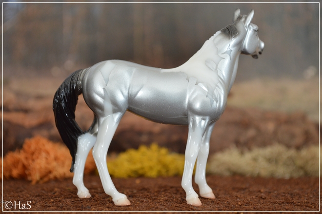 #711178 Glimmer | silver pinto | 2014 OF disc.