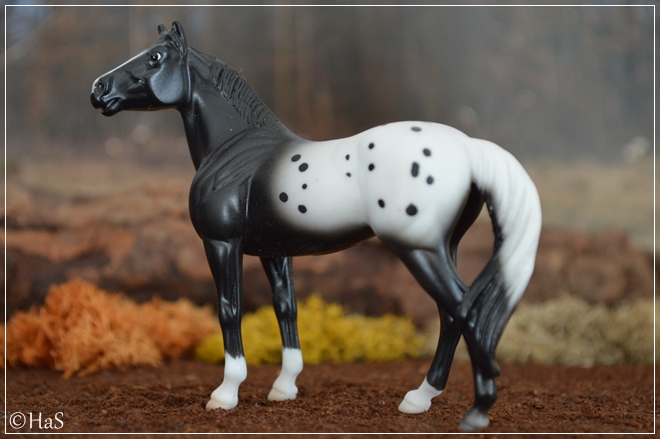 #9962502 Deluxe Farm Poket Barn | black blanket appaloosa | 2007 OF disc.