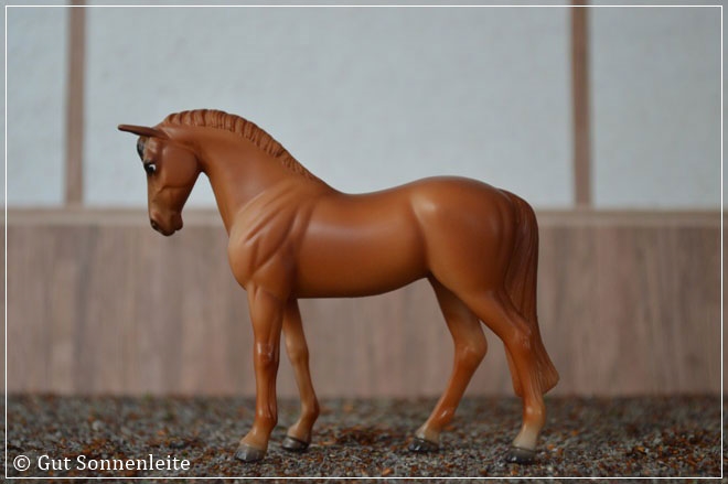 #5907 Hanoverian | sorrel | 2009 - 2011 OF disc.