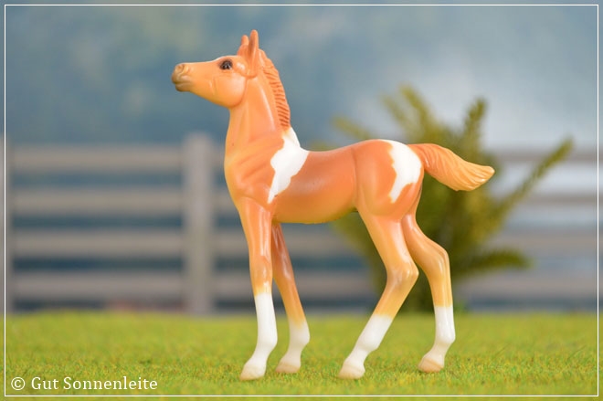 #410176 Parade of Breeds III | chestnut tobiano pinto | 2006 OF disc.