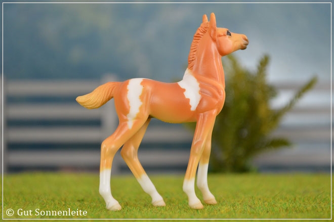 #410176 Parade of Breeds III | chestnut tobiano pinto | 2006 OF disc.