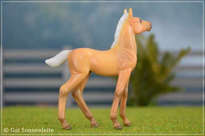 #5370 Horse Crazy Pocket Barn | palomino | 2013 - lfd. OF