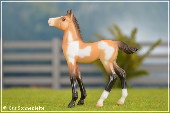 #5941 Mystery Foal Surprise - Family 2 | buckskin pinto | 2012 - 2013 OF disc.