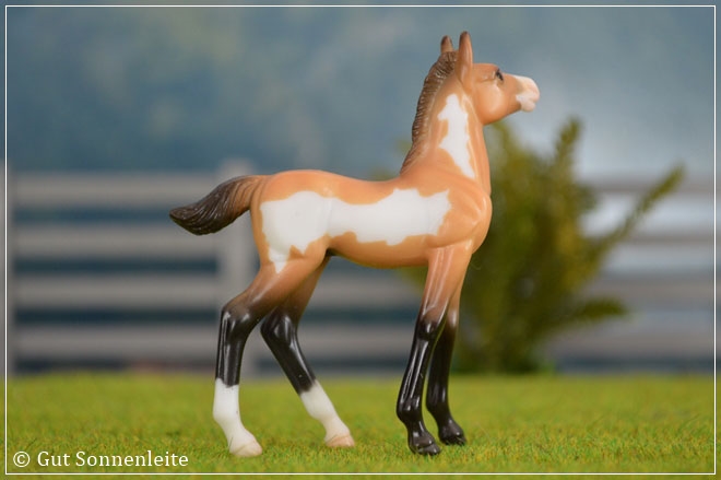 #5941 Mystery Foal Surprise - Family 2 | buckskin pinto | 2012 - 2013 OF disc.